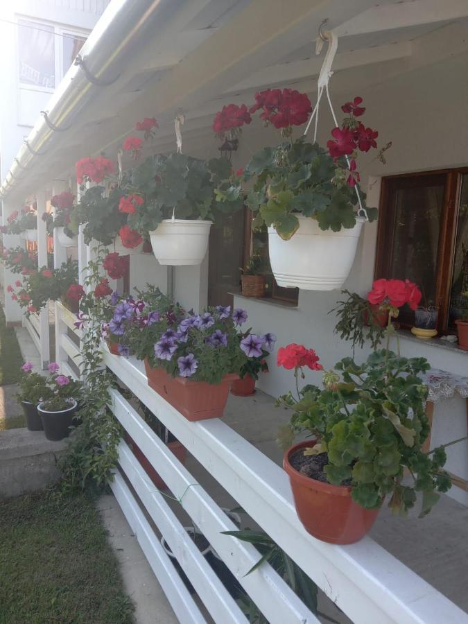 Cazare Turism Prislop 호텔 Haţeg 외부 사진