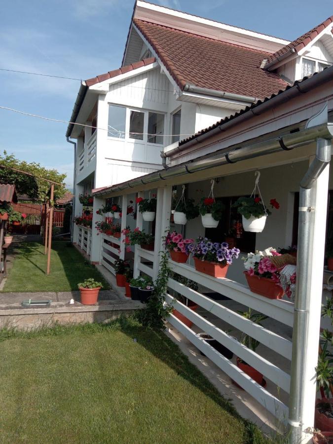 Cazare Turism Prislop 호텔 Haţeg 외부 사진